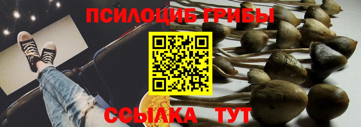 Псилоцибиновые грибы мицелий  Вход с VPN  Барабинск 